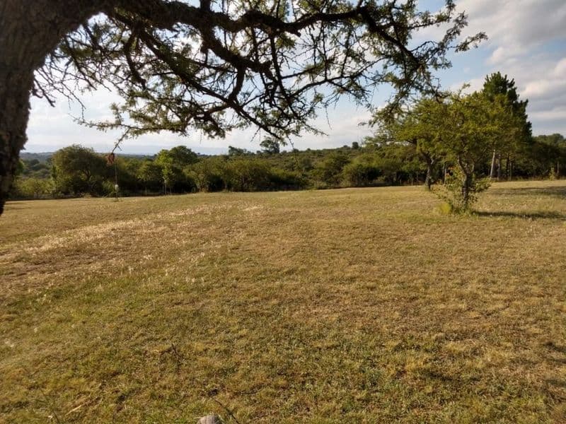Campo con hermosas vistas