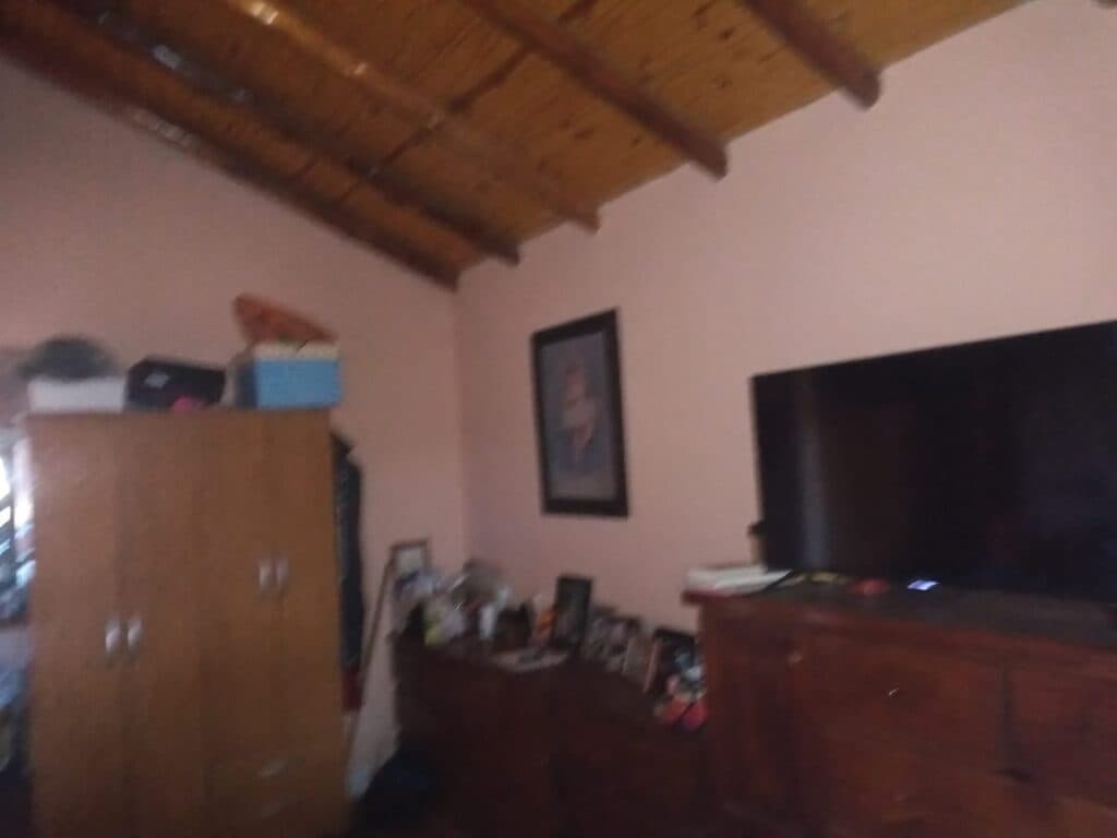 Casa + Local