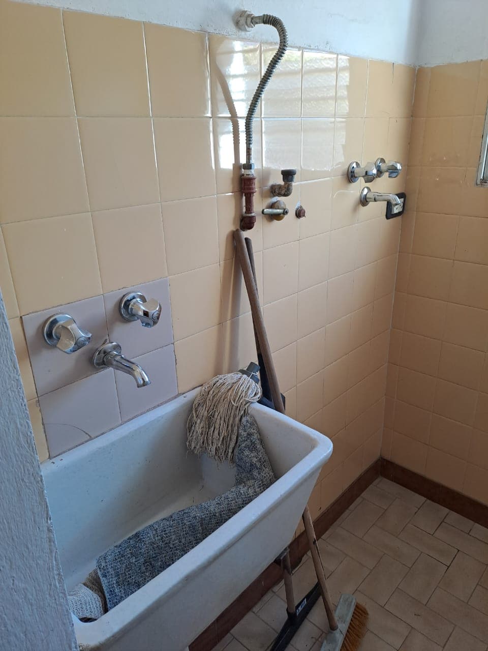 2 casas con parque arbolado