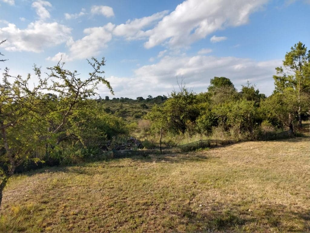 Campo con hermosas vistas
