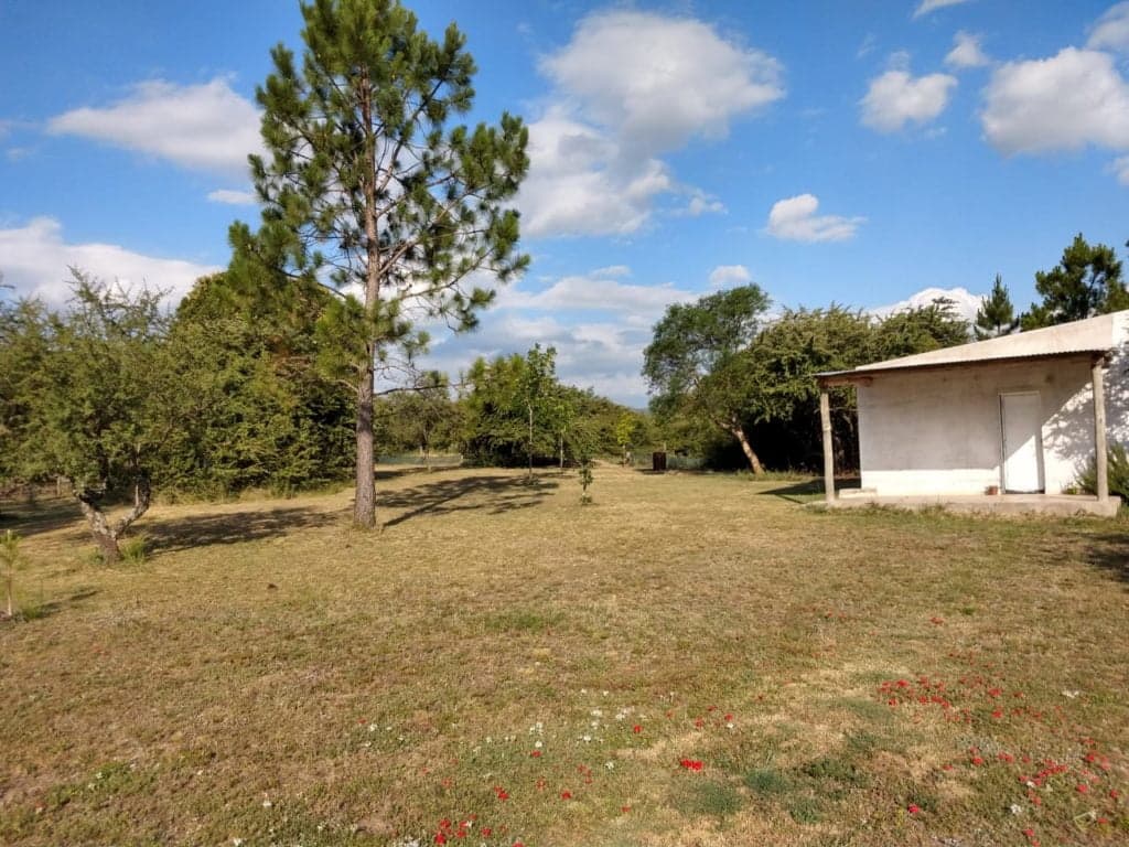 Campo con hermosas vistas