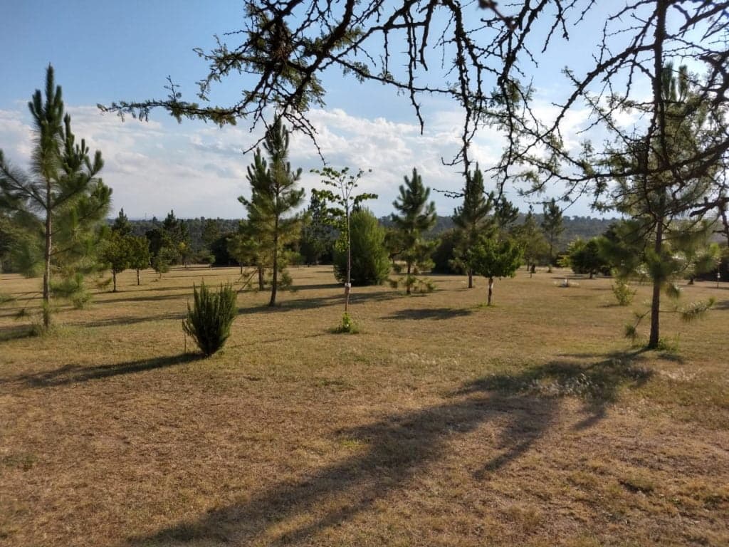 Campo con hermosas vistas