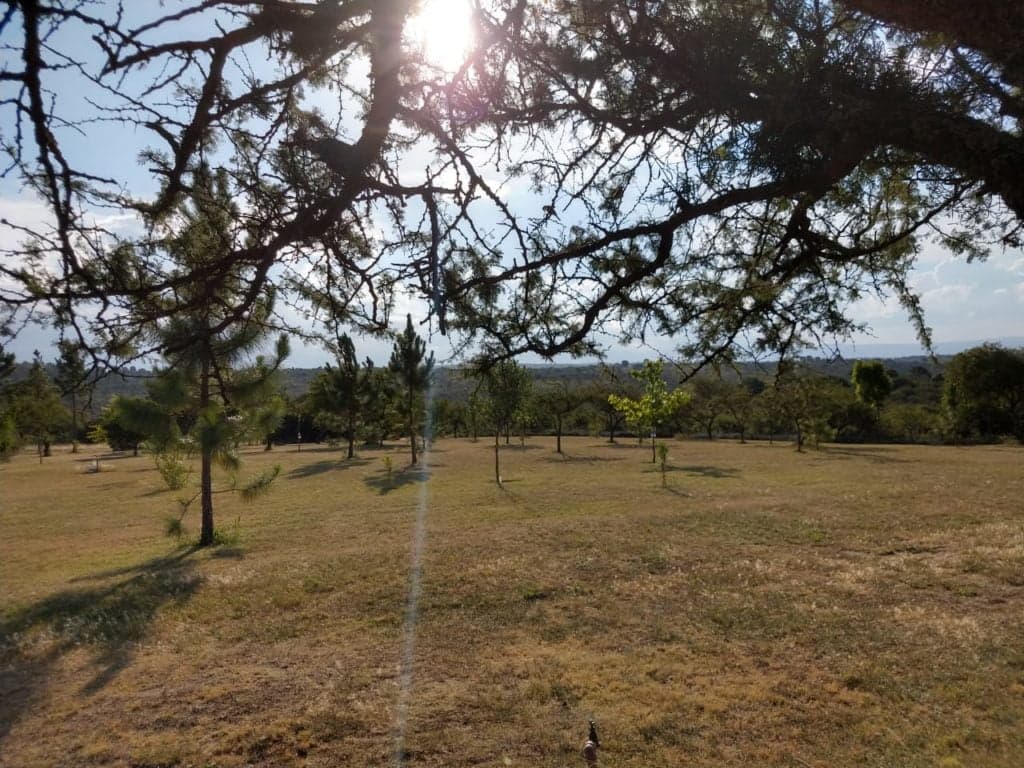 Campo con hermosas vistas