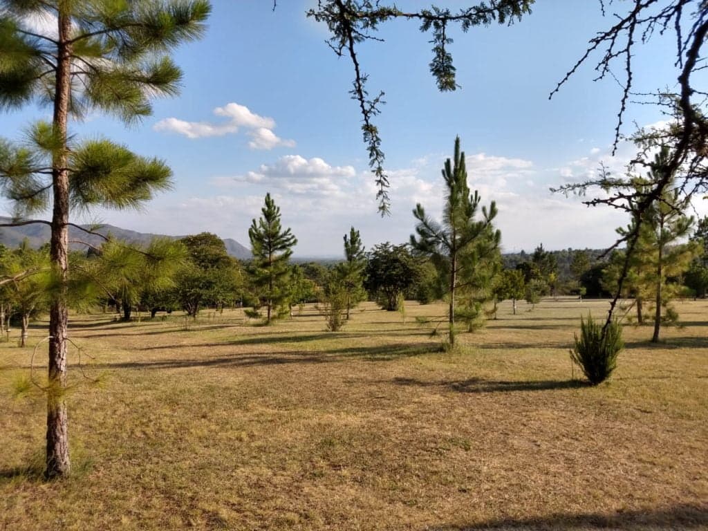 Campo con hermosas vistas